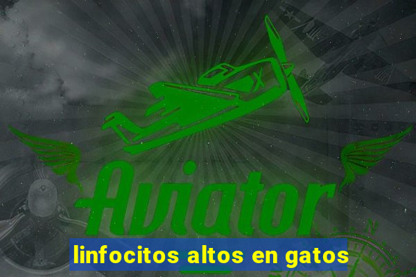 linfocitos altos en gatos